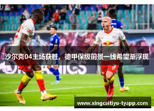 沙尔克04主场获胜，德甲保级前景一线希望渐浮现