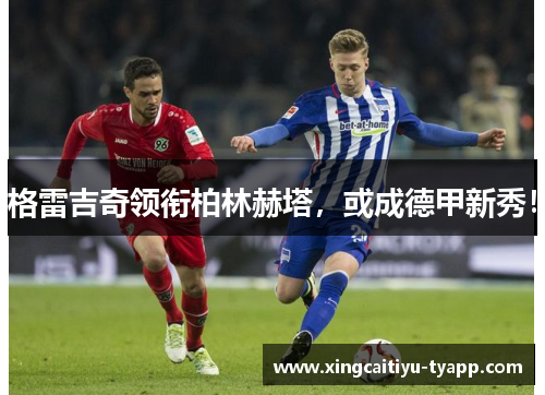 格雷吉奇领衔柏林赫塔，或成德甲新秀！