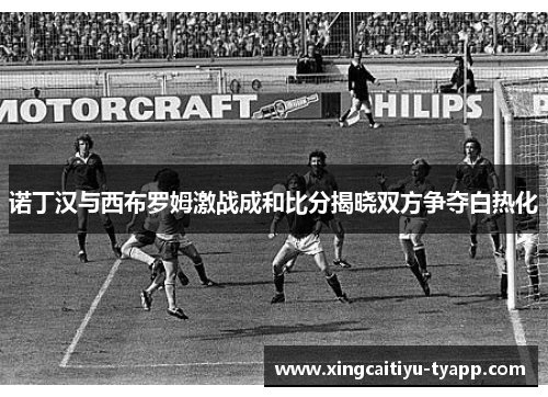诺丁汉与西布罗姆激战成和比分揭晓双方争夺白热化